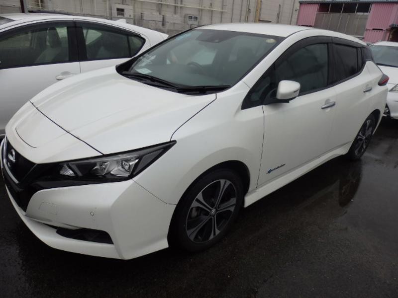 2019 Nissan Leaf